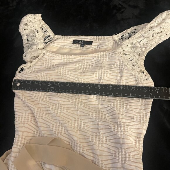 C. Luce Cream Lace Textured Dress NWOT Size M - Picture 8 of 11